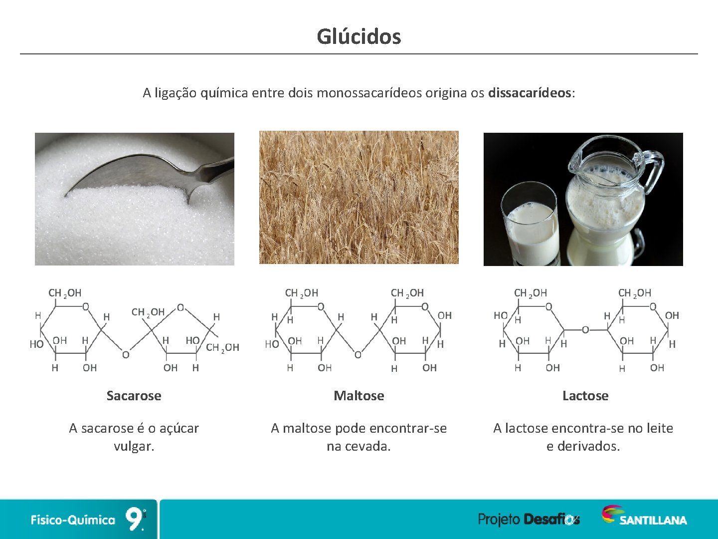 Glúcidos A ligação química entre dois monossacarídeos origina os dissacarídeos: Sacarose Maltose Lactose A