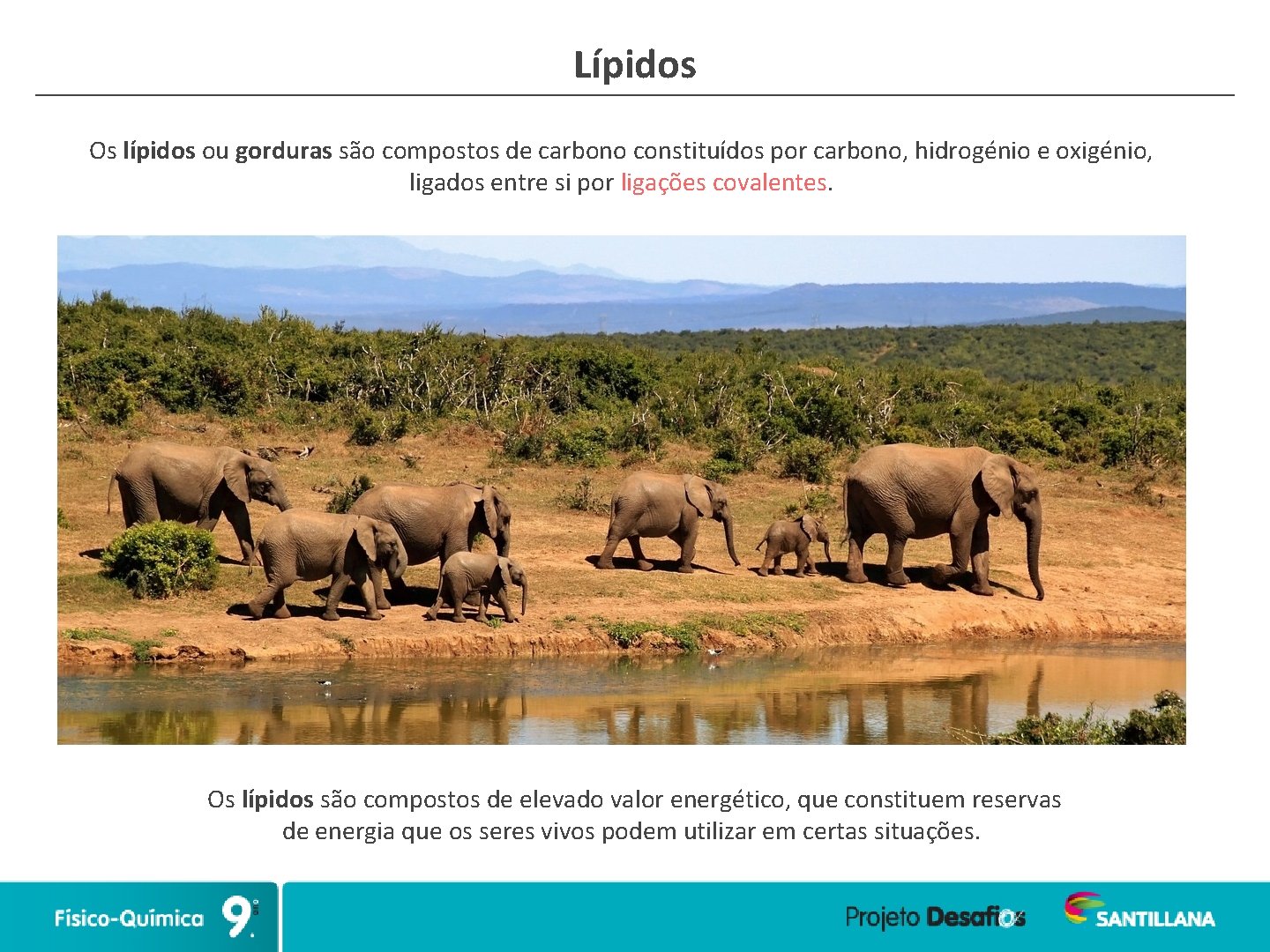 Lípidos Os lípidos ou gorduras são compostos de carbono constituídos por carbono, hidrogénio e