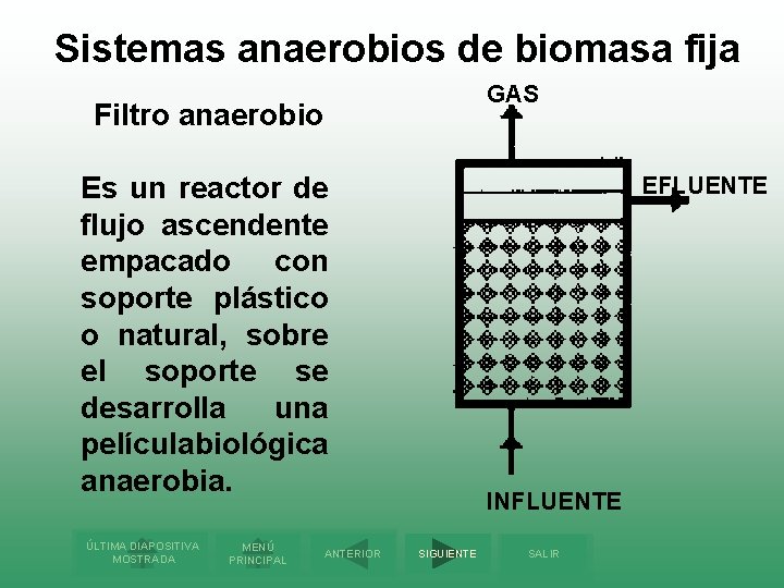 Sistemas anaerobios de biomasa fija GAS Filtro anaerobio Es un reactor de flujo ascendente