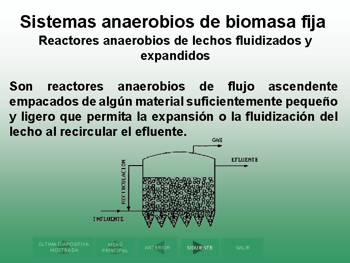 Sistemas anaerobios de biomasa fija Reactores anaerobios de lechos fluidizados y expandidos Son reactores