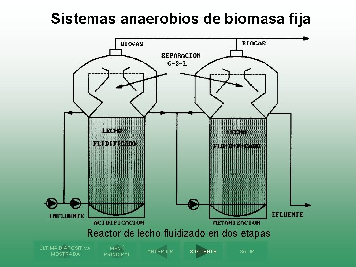 Sistemas anaerobios de biomasa fija Reactor de lecho fluidizado en dos etapas ÚLTIMA DIAPOSITIVA