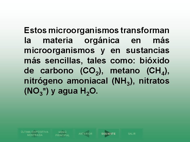 Estos microorganismos transforman la materia orgánica en más microorganismos y en sustancias más sencillas,