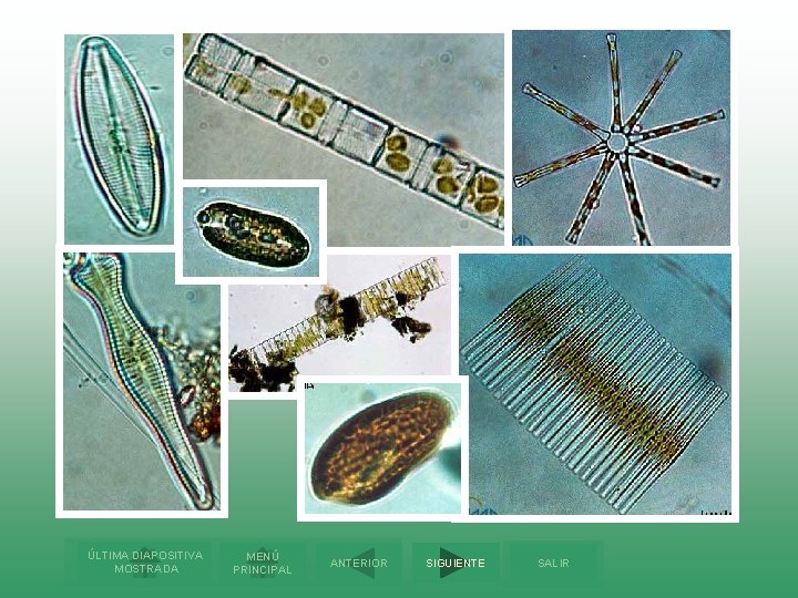 ÚLTIMA DIAPOSITIVA MOSTRADA MENÚ PRINCIPAL ANTERIOR SIGUIENTE SALIR 