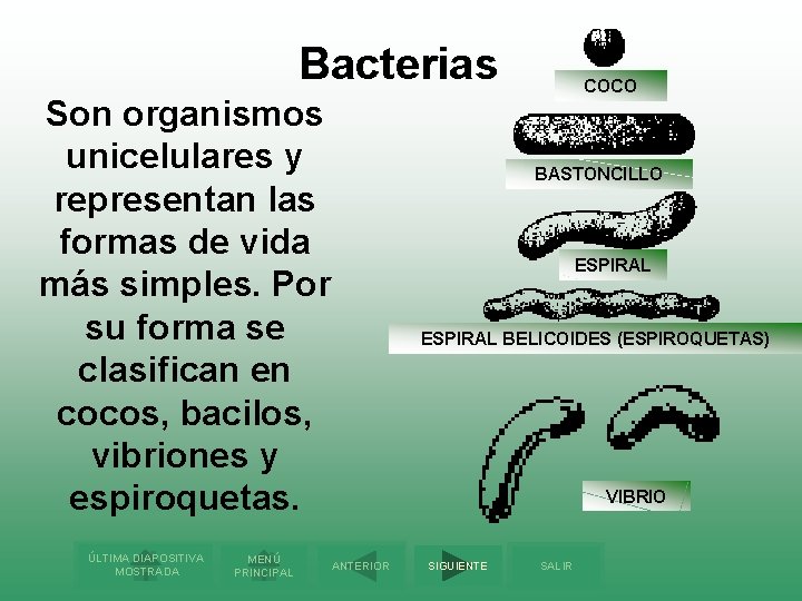 Bacterias Son organismos unicelulares y representan las formas de vida más simples. Por su