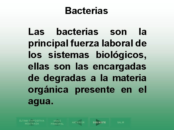 Bacterias Las bacterias son la principal fuerza laboral de los sistemas biológicos, ellas son