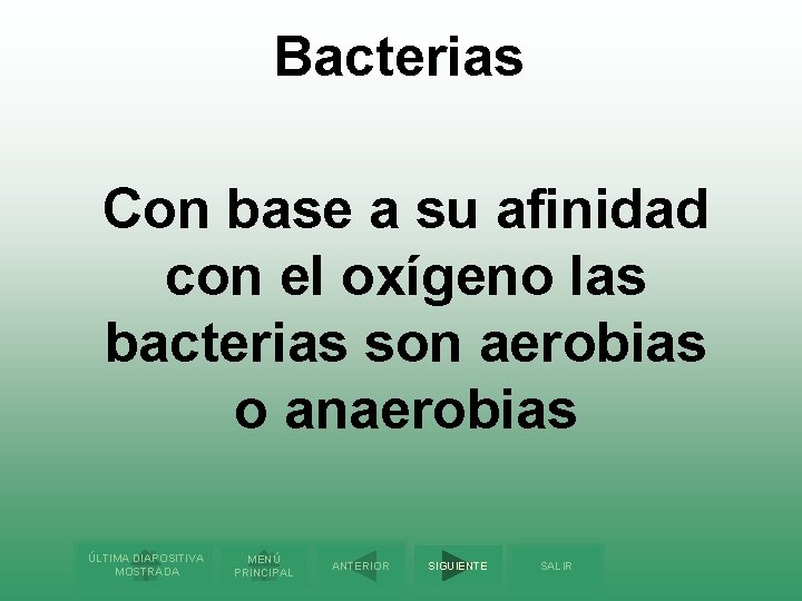 Bacterias Con base a su afinidad con el oxígeno las bacterias son aerobias o