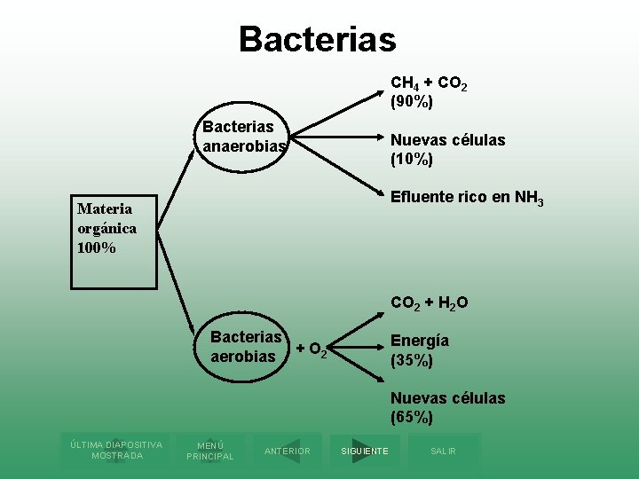 Bacterias CH 4 + CO 2 (90%) Bacterias anaerobias Nuevas células (10%) Efluente rico