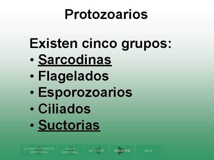 Protozoarios Existen cinco grupos: • Sarcodinas • Flagelados • Esporozoarios • Ciliados • Suctorias