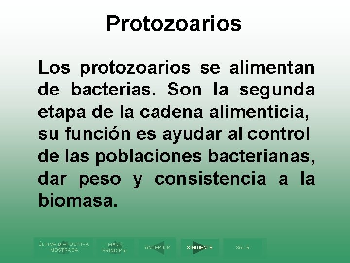 Protozoarios Los protozoarios se alimentan de bacterias. Son la segunda etapa de la cadena