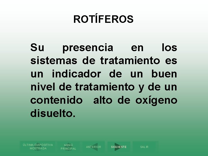 ROTÍFEROS Su presencia en los sistemas de tratamiento es un indicador de un buen