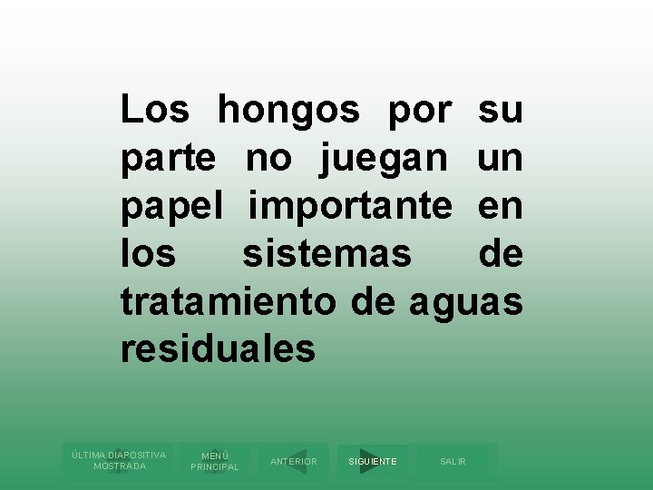 Los hongos por su parte no juegan un papel importante en los sistemas de