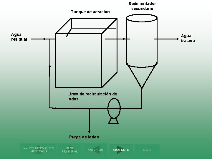 Sedimentador secundario Tanque de aeración Agua residual Agua tratada Línea de recirculación de lodos