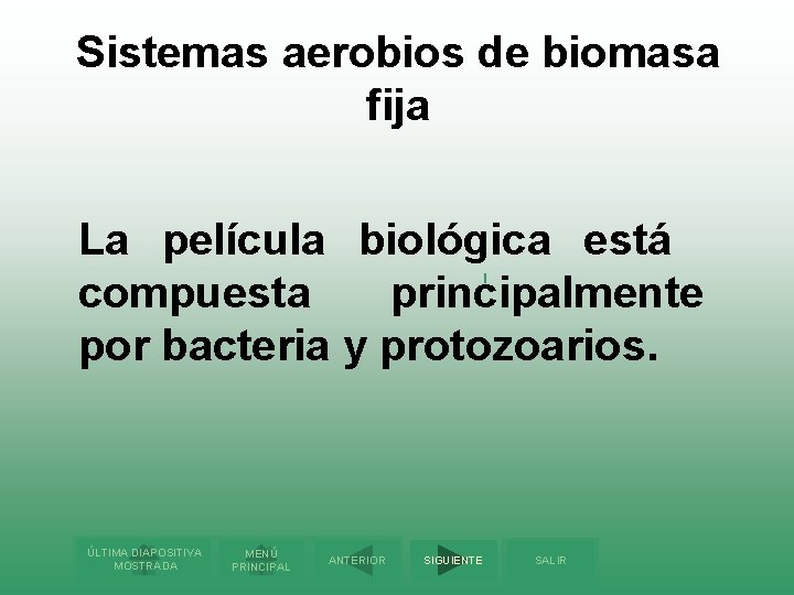 Sistemas aerobios de biomasa fija La película biológica está compuesta principalmente por bacteria y