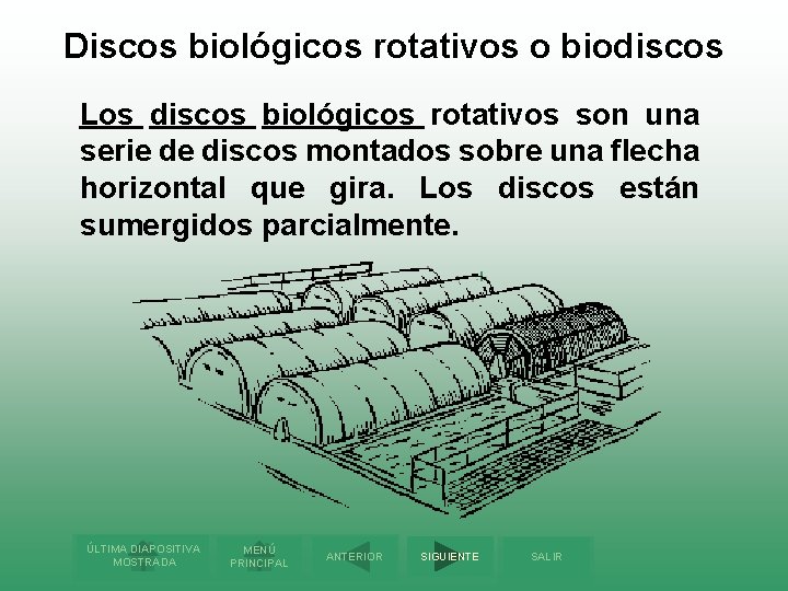 Discos biológicos rotativos o biodiscos Los discos biológicos rotativos son una serie de discos