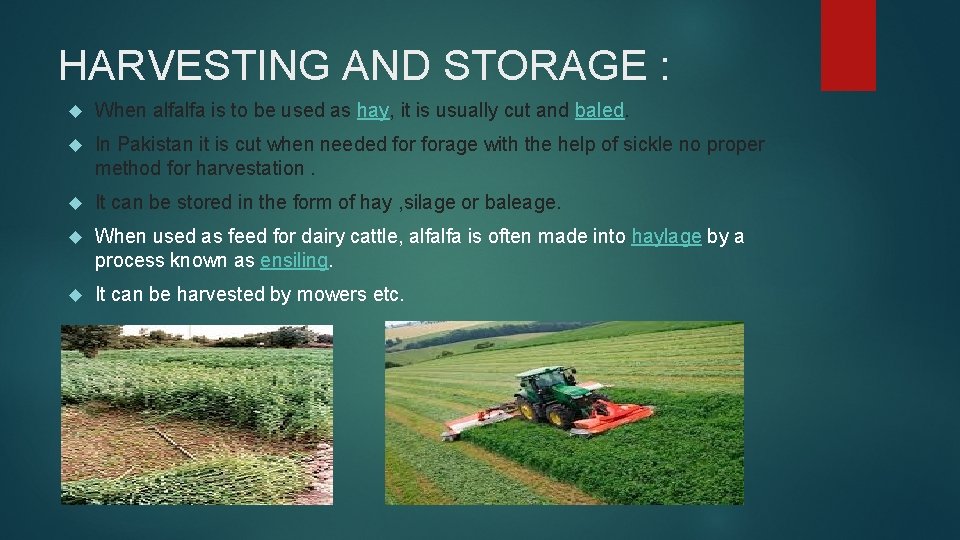 HARVESTING AND STORAGE : When alfalfa is to be used as hay, it is