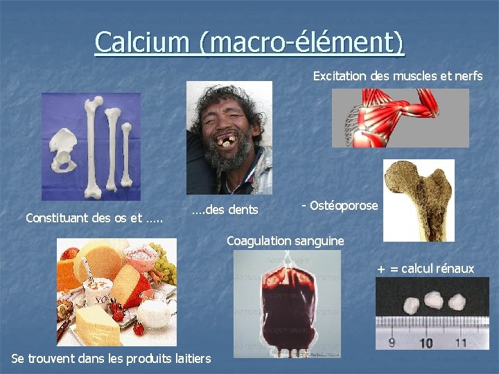 Calcium (macro-élément) Excitation des muscles et nerfs Constituant des os et …. des dents