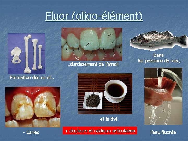 Fluor (oligo-élément) …durcissement de l’émail Dans les poissons de mer, Formation des os et.