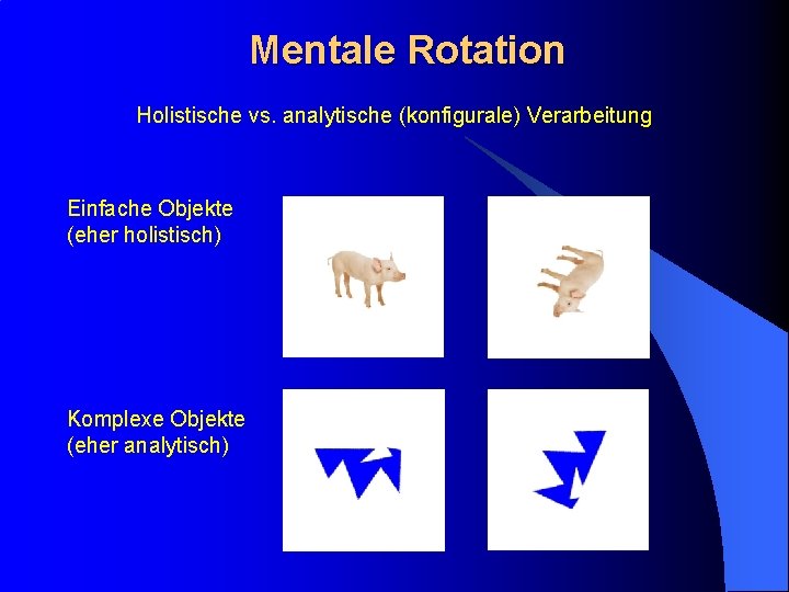 Mentale Rotation Holistische vs. analytische (konfigurale) Verarbeitung Einfache Objekte (eher holistisch) Komplexe Objekte (eher