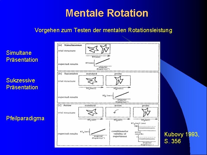 Mentale Rotation Vorgehen zum Testen der mentalen Rotationsleistung Simultane Präsentation Sukzessive Präsentation Pfeilparadigma Kubovy