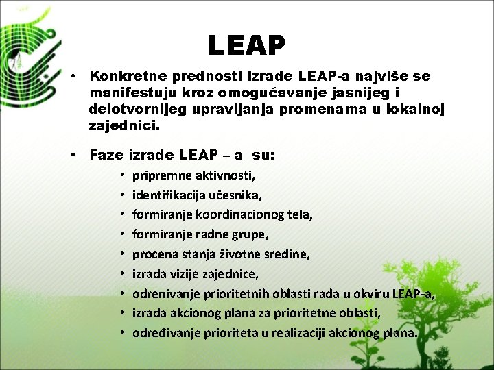 LEAP • Konkretne prednosti izrade LEAP-a najviše se manifestuju kroz omogućavanje jasnijeg i delotvornijeg