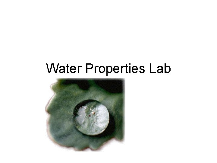 Water Properties Lab 