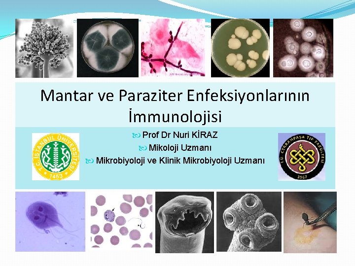Mantar ve Paraziter Enfeksiyonlarının İmmunolojisi Prof Dr Nuri KİRAZ Mikoloji Uzmanı Mikrobiyoloji ve Klinik