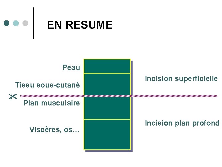 EN RESUME Peau Tissu sous-cutané Incision superficielle Plan musculaire Viscères, os… Incision plan profond