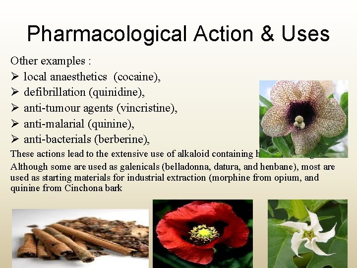 Pharmacological Action & Uses Other examples : Ø local anaesthetics (cocaine), Ø defibrillation (quinidine),