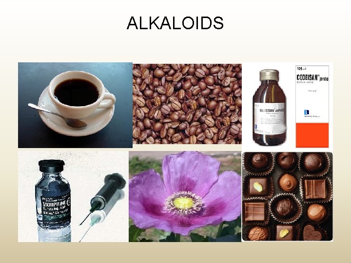 ALKALOIDS 