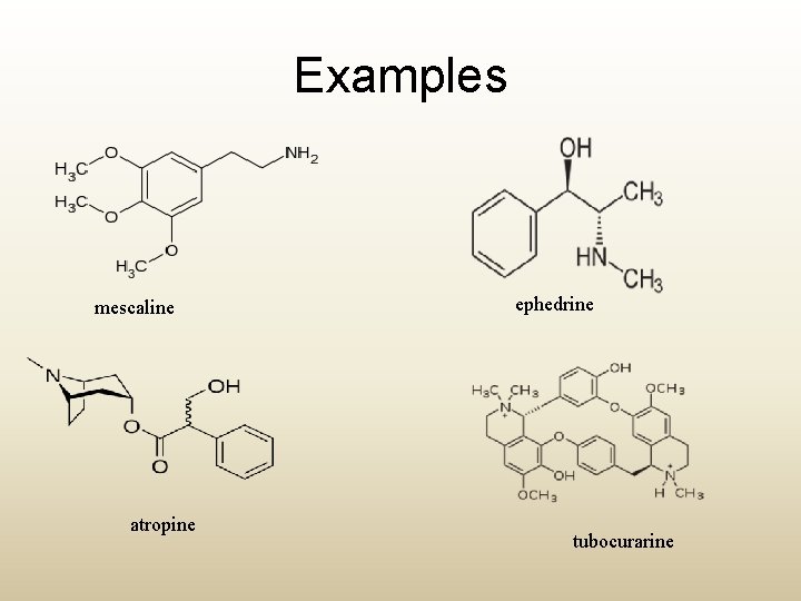 Examples mescaline atropine ephedrine tubocurarine 