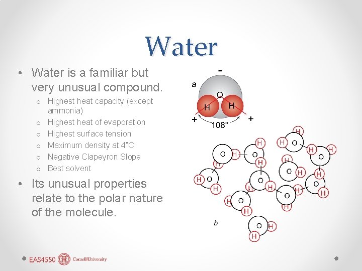 Water • Water is a familiar but very unusual compound. o Highest heat capacity