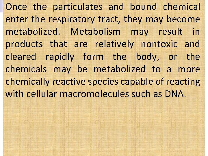 Once the particulates and bound chemical enter the respiratory tract, they may become metabolized.