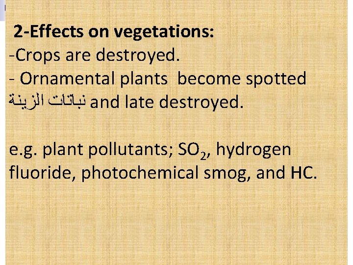  2 -Effects on vegetations: -Crops are destroyed. - Ornamental plants become spotted ﺍﻟﺰﻳﻨﺔ