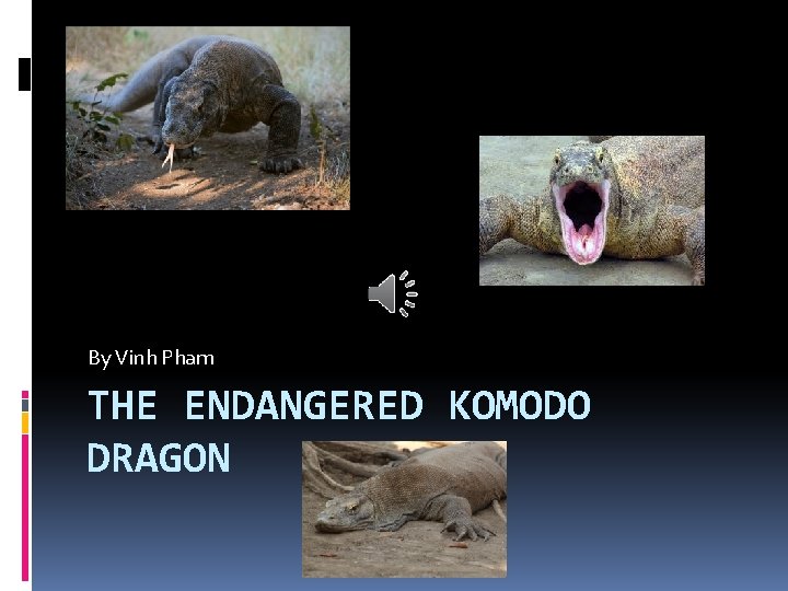 By Vinh Pham THE ENDANGERED KOMODO DRAGON 