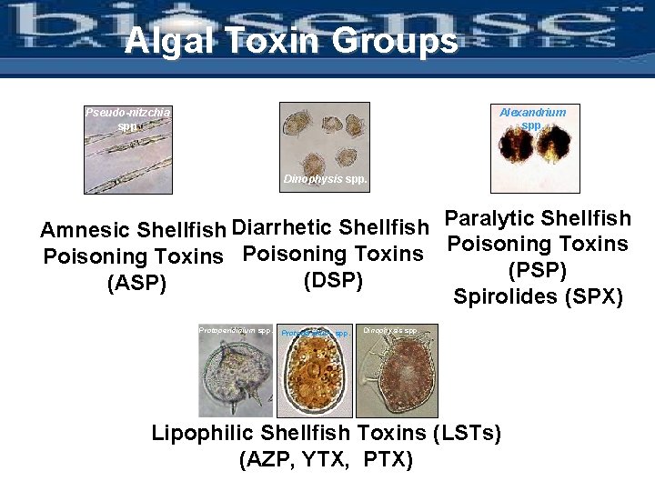 Warning of Algal Toxin Events to support aquaculture