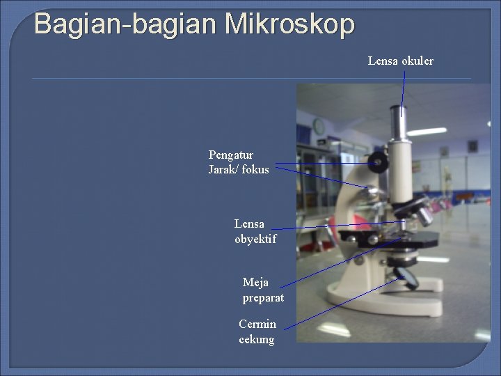 Bagian-bagian Mikroskop Lensa okuler Pengatur Jarak/ fokus Lensa obyektif Meja preparat Cermin cekung Bagian-bagian Mikroskop Lensa okuler Pengatur Jarak/ fokus Lensa obyektif Meja preparat Cermin cekung