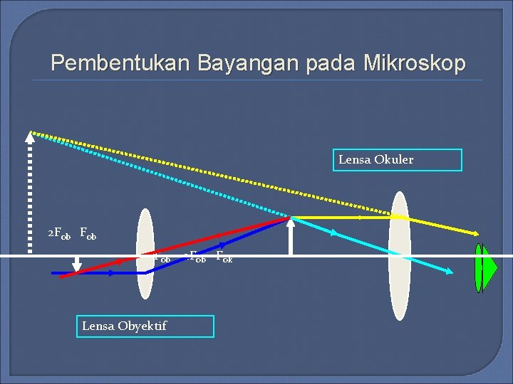Pembentukan Bayangan pada Mikroskop Lensa Okuler 2 Fob F ob 2 Fob Fok Lensa Pembentukan Bayangan pada Mikroskop Lensa Okuler 2 Fob F ob 2 Fob Fok Lensa