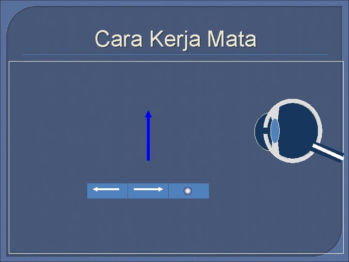 Cara Kerja Mata Cara Kerja Mata