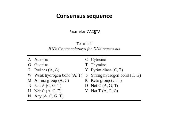 Consensus sequence Example: CACSTG 
