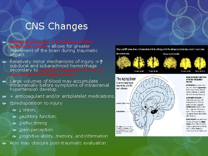 CNS Changes Cortical atrophy →↑ volume of the subdural space→ allows for greater movement CNS Changes Cortical atrophy →↑ volume of the subdural space→ allows for greater movement