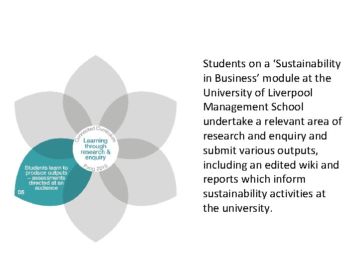 Students on a ‘Sustainability in Business’ module at the University of Liverpool Management School