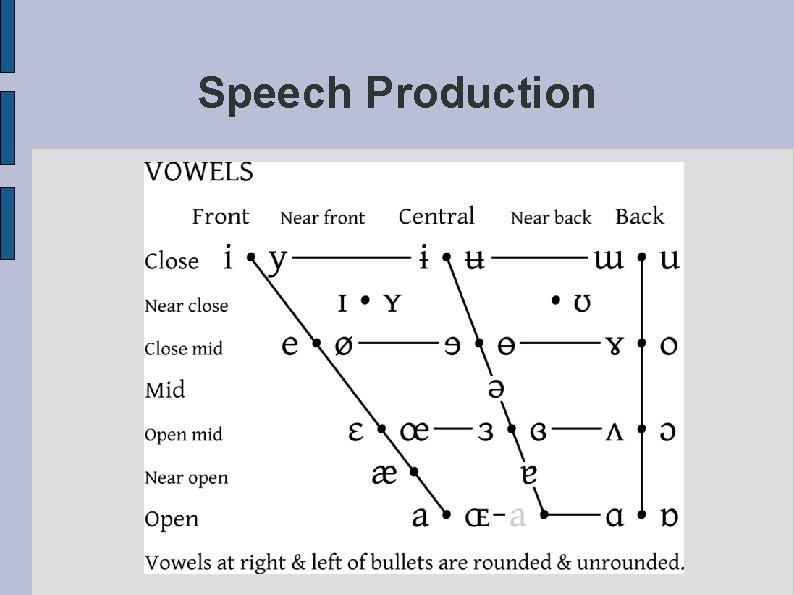 Speech Production 