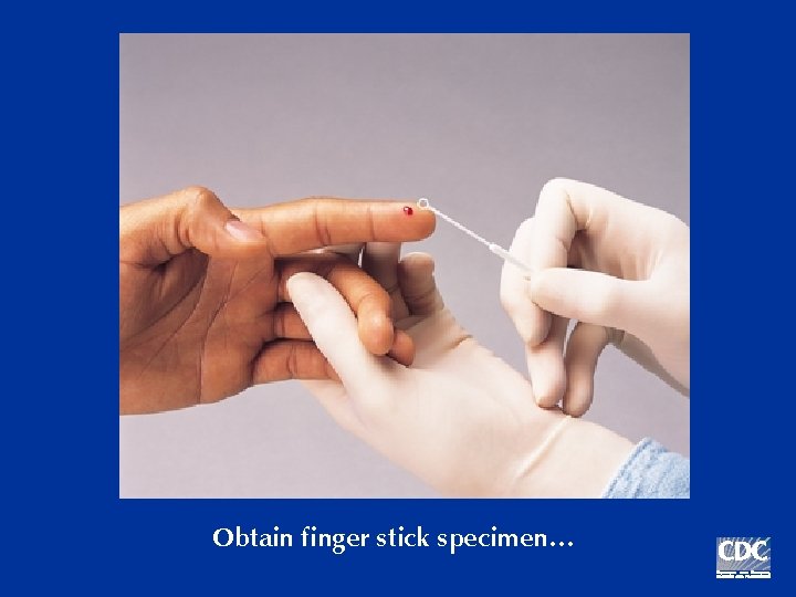 Obtain finger stick specimen… 