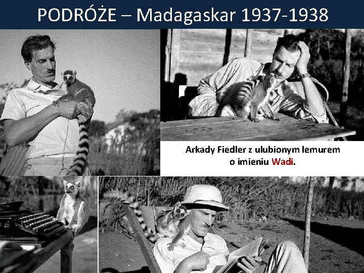 PODRÓŻE – Madagaskar 1937 -1938 Arkady Fiedler z ulubionym lemurem o imieniu Wadi. 