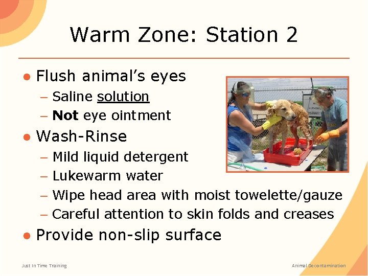 Warm Zone: Station 2 ● Flush animal’s eyes – Saline solution – Not eye Warm Zone: Station 2 ● Flush animal’s eyes – Saline solution – Not eye