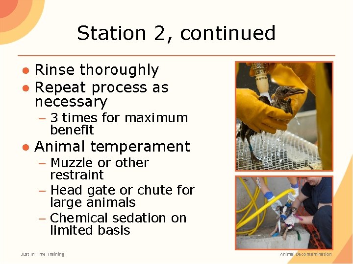 Station 2, continued ● Rinse thoroughly ● Repeat process as necessary – 3 times Station 2, continued ● Rinse thoroughly ● Repeat process as necessary – 3 times