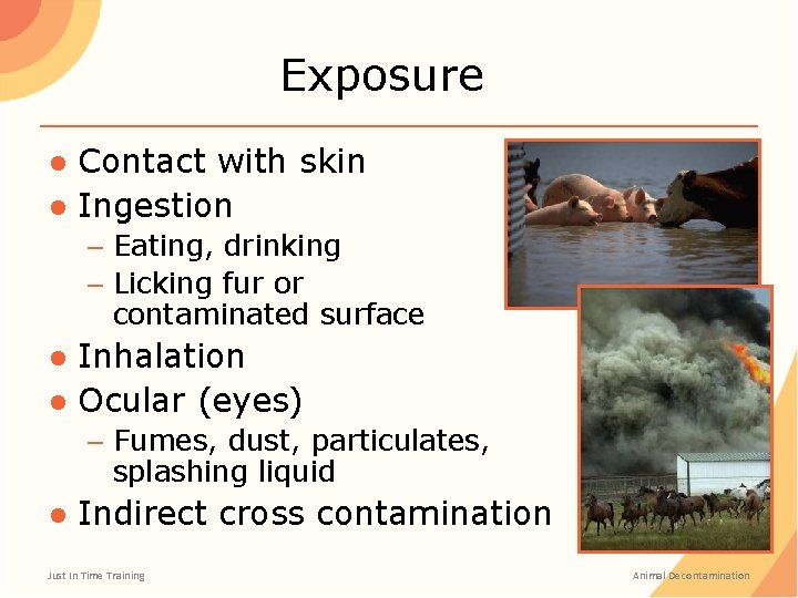Exposure ● Contact with skin ● Ingestion – Eating, drinking – Licking fur or Exposure ● Contact with skin ● Ingestion – Eating, drinking – Licking fur or