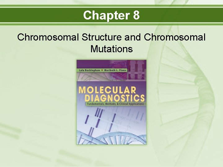 Chapter 8 Chromosomal Structure and Chromosomal Mutations 