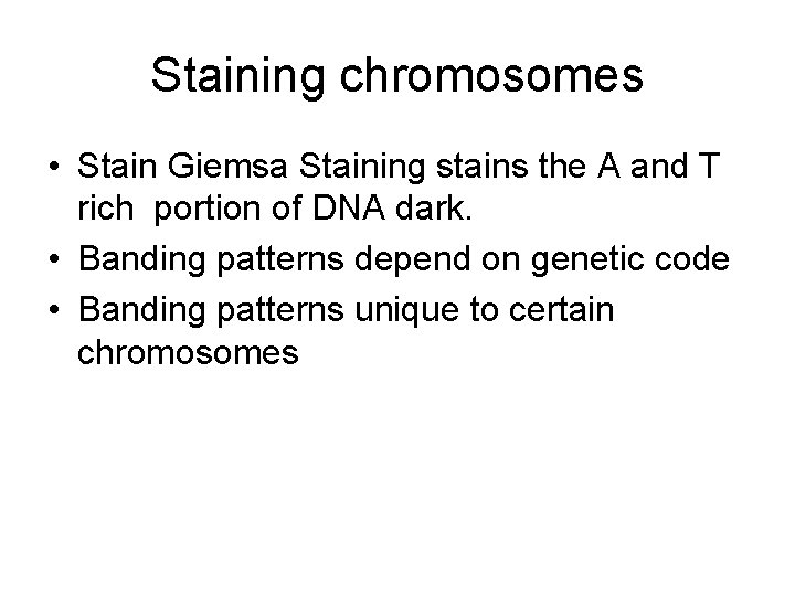 Staining chromosomes • Stain Giemsa Staining stains the A and T rich portion of