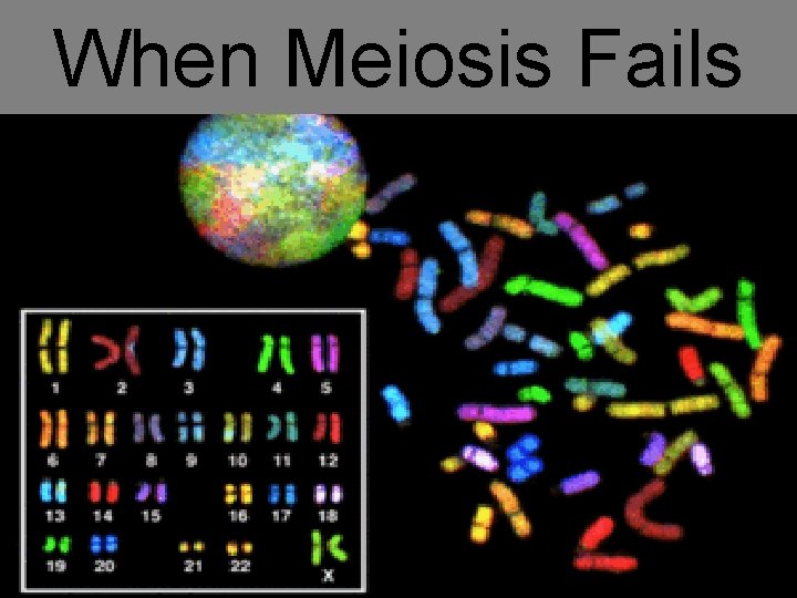 When Meiosis Fails 